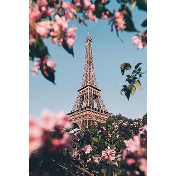 DCIDBEI 40x50CM Peintures de Diamants Carré Paysage Ville Paris Tour Eiffel Broderie diamant Kit Complet Fleurs de Pêche Adulte Enfant, Cristal Artisanat Décor d'Intérieur Maison Bureau DCIDBEI 40x50CM Peintures de Diamants Carré Paysage Ville Paris Tour Eiffel Broderie diamant Kit Complet Fleurs de Pêche Adulte Enfant, Cristal Artisanat Décor d'Intérieur Maison Bureau