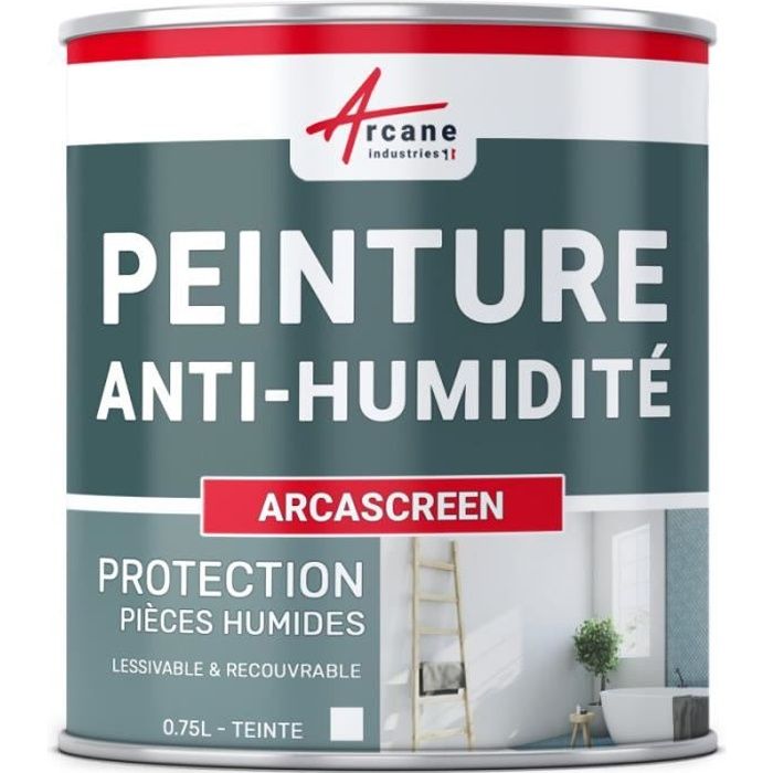 Peinture anti humidité anti moisissure salpêtre isolante ARCASCREEN - 0.75  L (jusqu a 3m²) - Cdiscount Bricolage