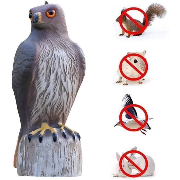 Épouvantail Aigle Réaliste Avec Cloche – Répulsif à Oiseaux Extérieur, 21,8x30,5 Cm, Pour Jardin, Balcon, Terrasse