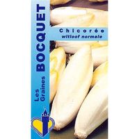 Sachet de  Chicorée Witloof normale - 6 g - légume feuille - LES GRAINES BOCQUET