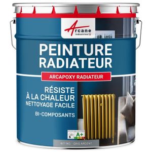 PEINTURE - VERNIS Peinture Radiateur - Fonte acier alu chauffage  RAL 7001 Gris Argent - Kit 1 Kg jusqu'a 5m² pour 2 couches