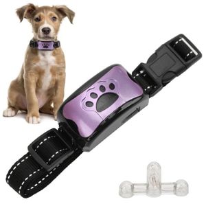 Jouets pour chiens à mâcher 4 pièces bouton parlant boutons d'entraînement  enregistrables pour chiens Buzzer avec coussinet antidérapant