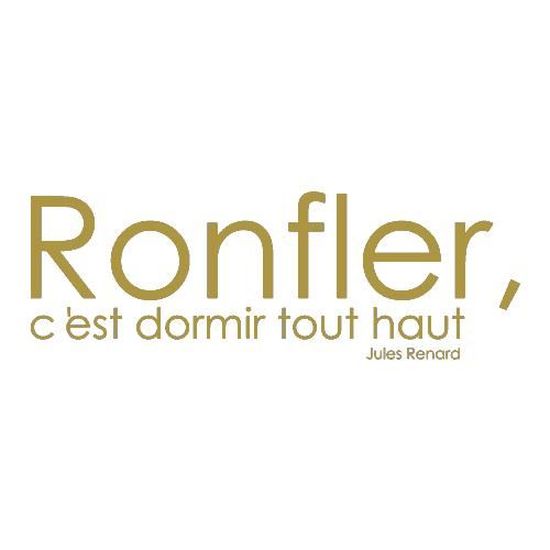 Stickers Citation Jules Renard Ref T Mk1066 Or x57 Cm Cdiscount Maison Stickers Citation Jules Renard Ref T Mk1066 Or x57 Cm Cdiscount Maison