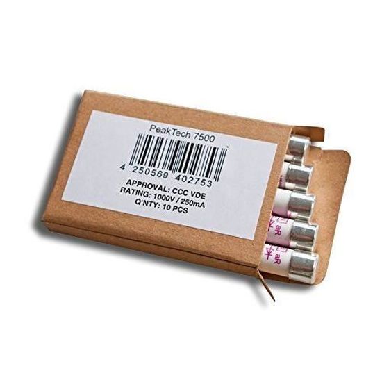 Lot De 10 Fusibles Instantanés 250mA 230V - Format 6.3x32mm, Marque CEHESS
