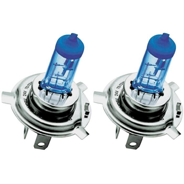Lampes Philips Master Duty Blue Vision H4