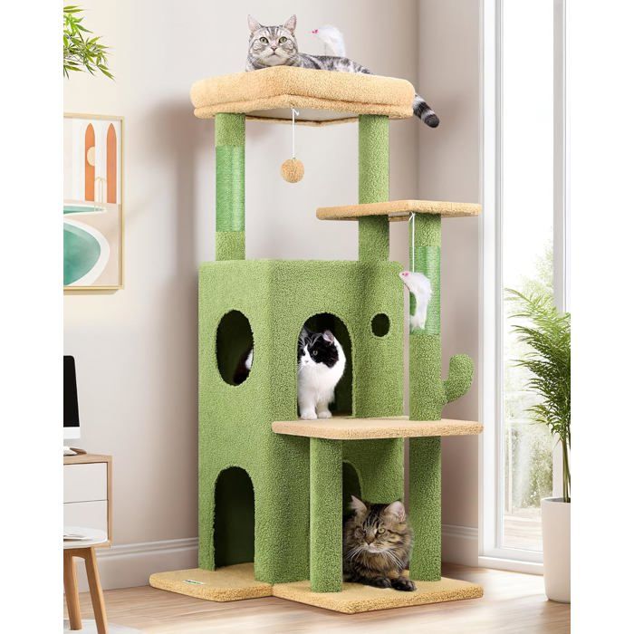Arbre A Chat Vert Cactus Solide Avec Grande Base Niches