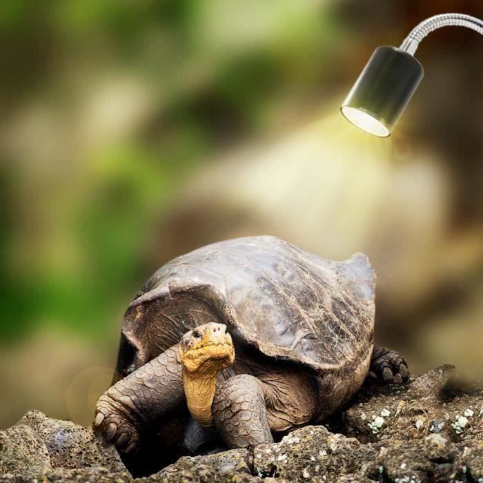 Lampe Uv Et Chauffante Pour Tortue Terrestre Truffaut