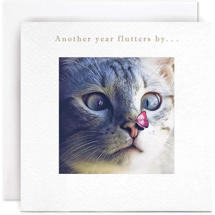 Carte D Anniversaire Chat Et Papillon Another Year Flutters By 421 Cdiscount Beaux Arts Et Loisirs Creatifs