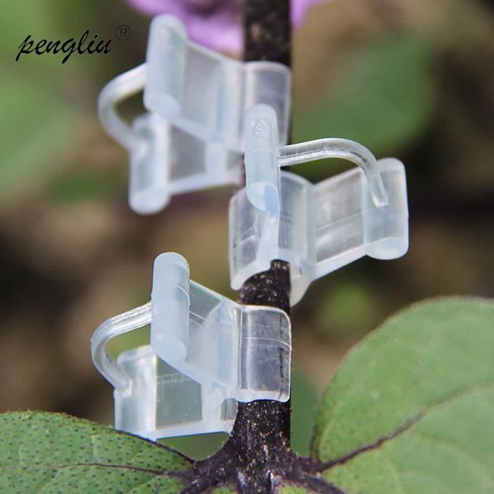 Lot De 50 Attaches Réglables En Plastique Vert Pour Treillis De Jardin - Compatible Piquets 11 Mm