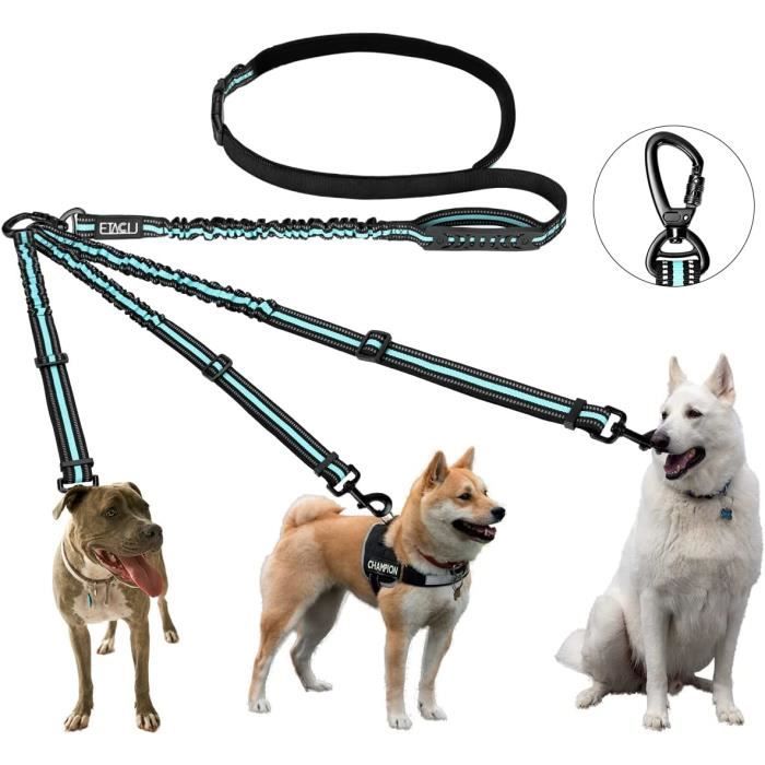 Laisse Réglable Chien Amortisseur Double Poignée