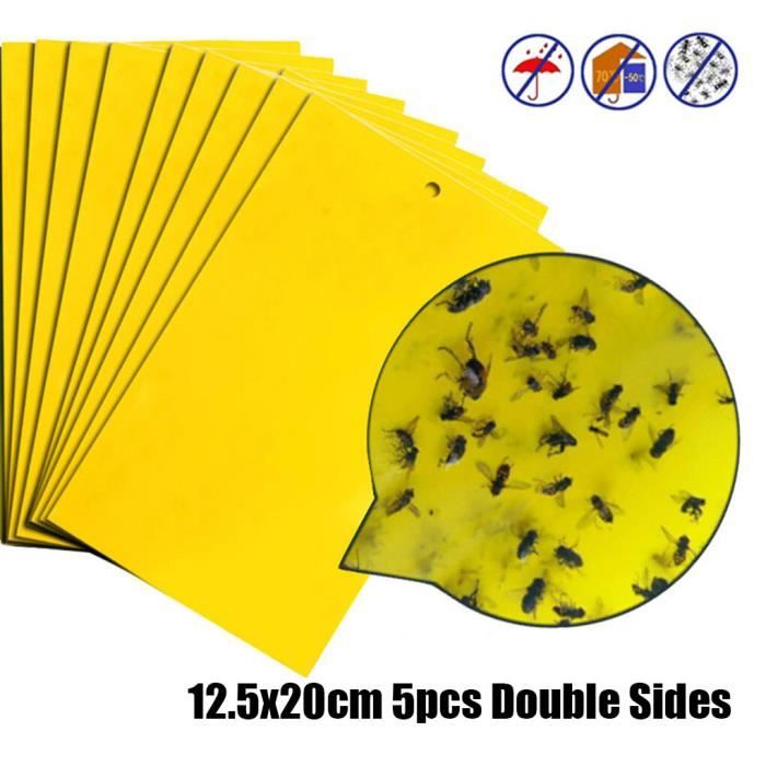 10 Pièges Collants Anti-Nuisibles 31.5 X 21 Cm - Adhésif Fort, Sans Produits Chimiques, Pour Souris, Insectes, Cafards - Usage Intérieur/Extérieur - 10