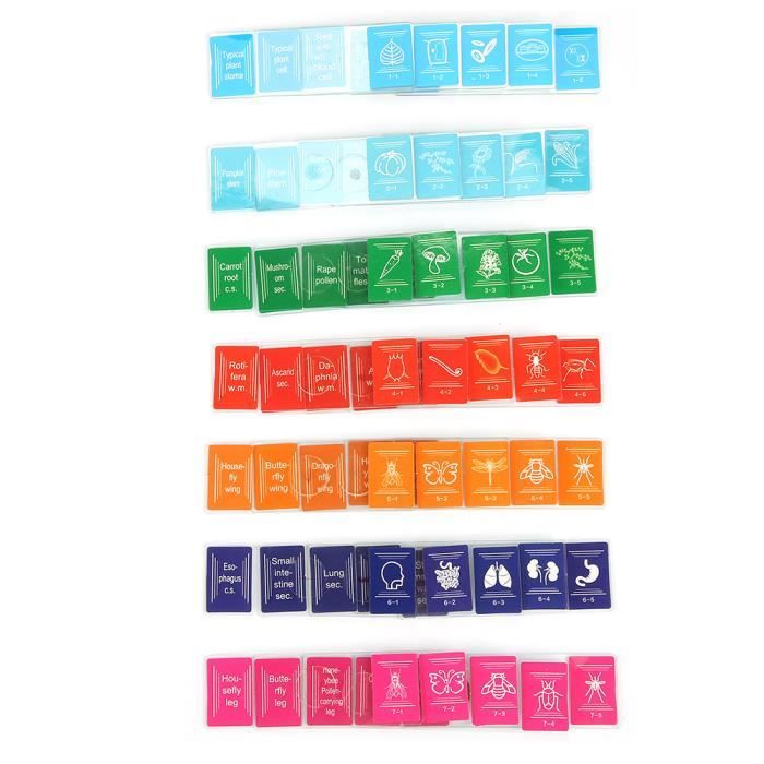 100 épingles En Acier Inoxydable Pour Fixation De Spécimens Insectes – Kit Entomologie