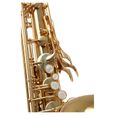 Classic Cantabile Winds TS-450 saxophone ténor en Sib 2.5 set Reed-1
