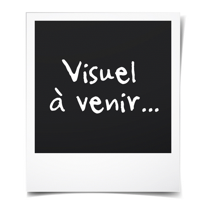 Robe effet 2 en 1 cheap