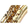 Classic Cantabile Winds TS-450 saxophone ténor en Sib 2.5 set Reed-2