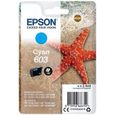 EPSON Cartouche d'encre 603 Cyan - Etoile de mer (C13T03U24010)-0