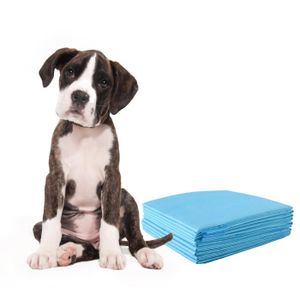 Canijess Lot de 25 tapis absorbants, tapis éducatif pour chien 40 cm x 60  cm à prix pas cher