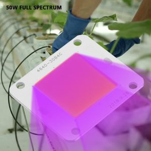 LAMPE VERTE Lampe LED pour la croissance des plantes - LV.LIFE - Spectre complet - 50W - Aluminium supraconducteur