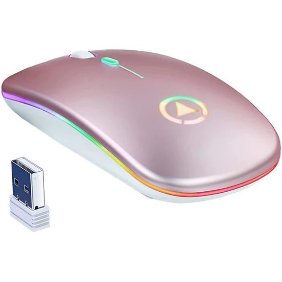 Souris gaming sans fil rechargeable LED gamer PC silencieuse ergonomique neuve