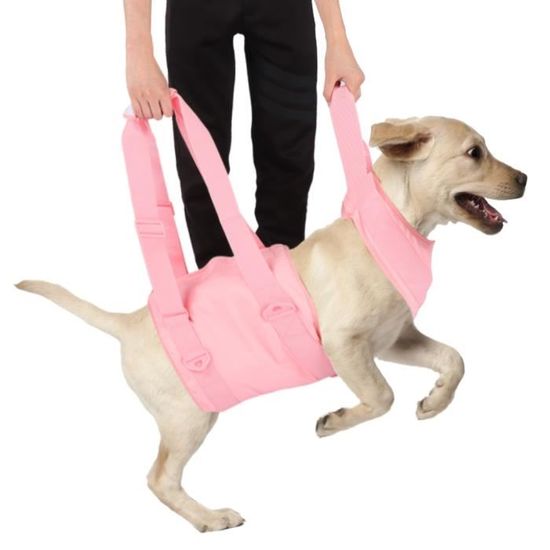 Alomejor Ascenseur Pour élingue Pour Chien Handicapé Harnais Réglable D'Animaux De Levage