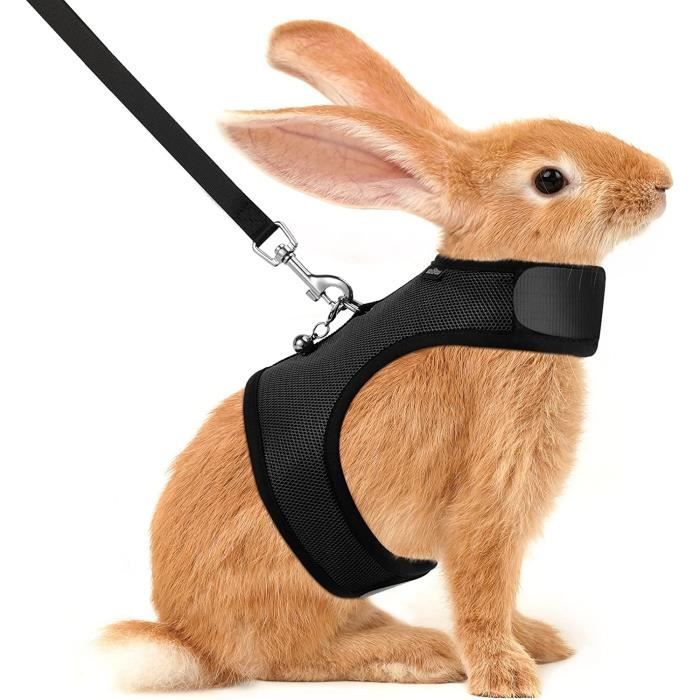 PAL Laisse Réglable Harnais Sangle De Poitrine Respirante Gilet De Traction Pour Lapin Hamster