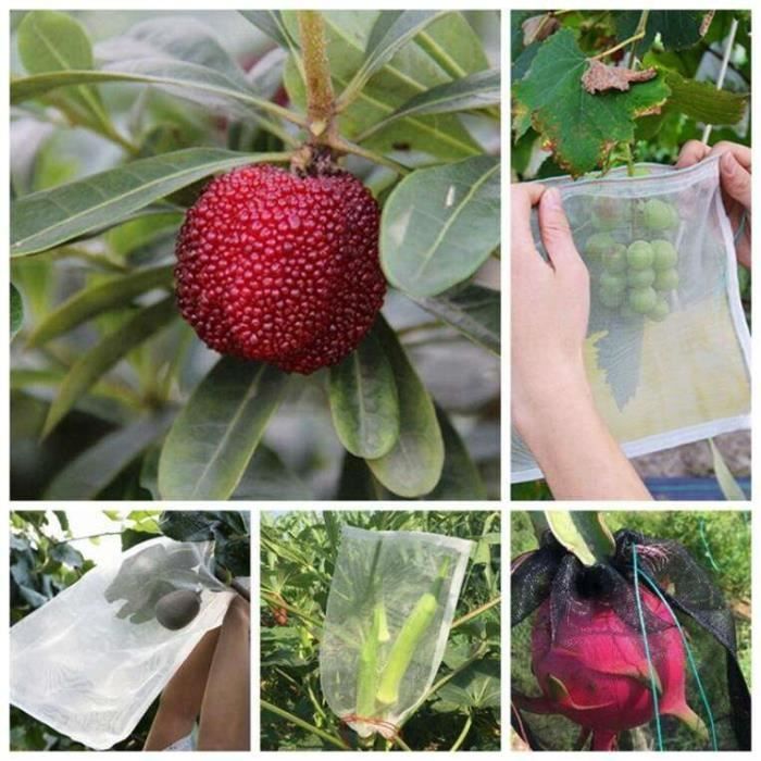 Lot De 100 Sachets De Protection En Nylon Pour Fruits Et Plantes - 15x10 Cm, Avec Cordon - Contre Oiseaux Et Insectes