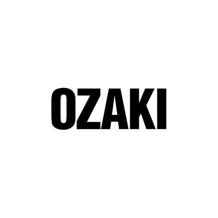 Chaîne De Tronçonneuse OZAKI .325 E68 - Jauge 1,6 Mm, 68 Entraîneurs, 45 Cm, Semi-pro - 4