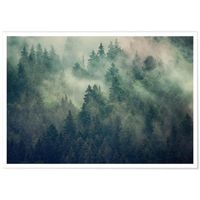 Poster Panorama Forêt Brumeuse 30x21 cm  - Imprimée sur Poster avec Passepartout -  Tableau Nature