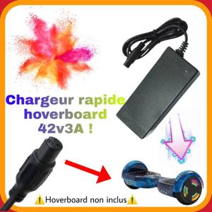 ACCESSOIRES HOVERBOARD Chargeur hoverboard 42v - chargeur RAPIDE 42v3A pour batterie 36v - [NON COMPATIBLE AVEC TROTTINETTES ELECTRIQUE