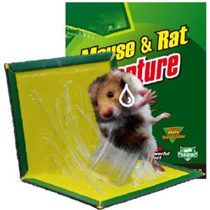 LIWI-Piege a glu pour rat et souris, plaque collante pour rat et rongeurs, piège à colle