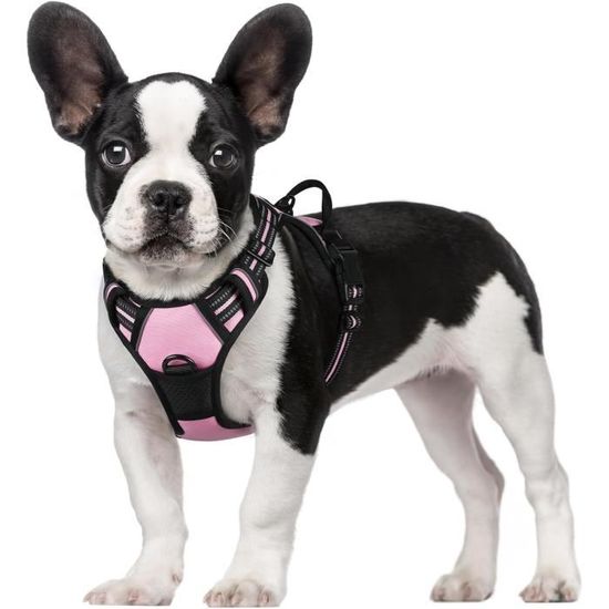 Harnais Anti-traction Pour Chien | Laisse Incluse, Maille Respirante - Taille XS à XL, Sécurité Réfléchissante - 7