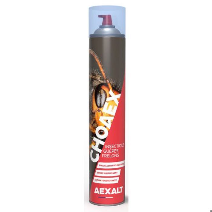 Bombe pour frelons insecticide professionnel