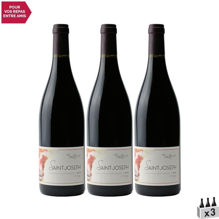 Saint-Joseph Rouge 2019 - Lot de 3x75cl - Pierre Gaillard - Vin AOC Rouge de la Vallée du Rhône - Cépage Syrah