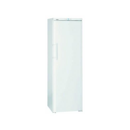 Congélateur armoire GNP3013-23