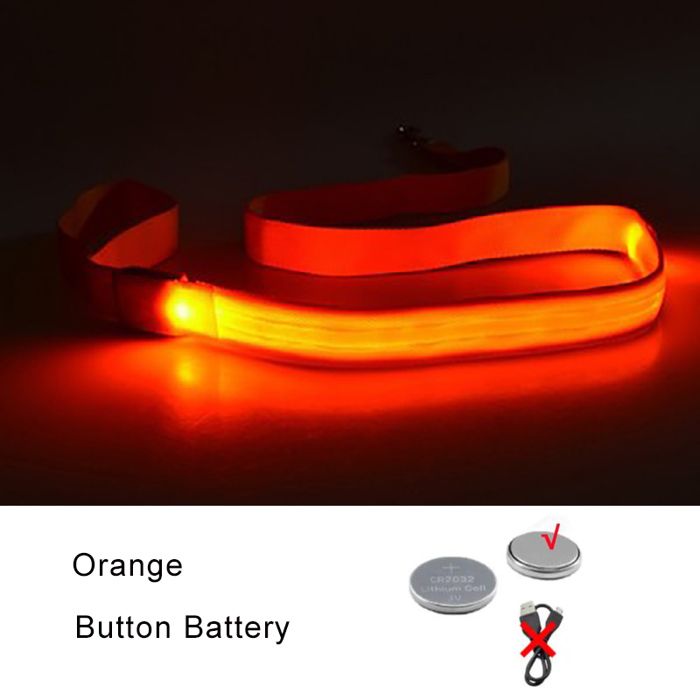 Laisse lumineuse pour chien - Phoesky - LED clignotante - 120x2 5 cm - Orange - Étanche - Sangle en nylon