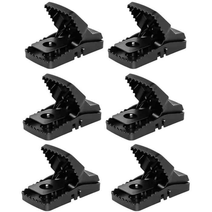 Meritaipolw Pièges À Souris, Tapette Souris À Ressort, Petit Tapetteà