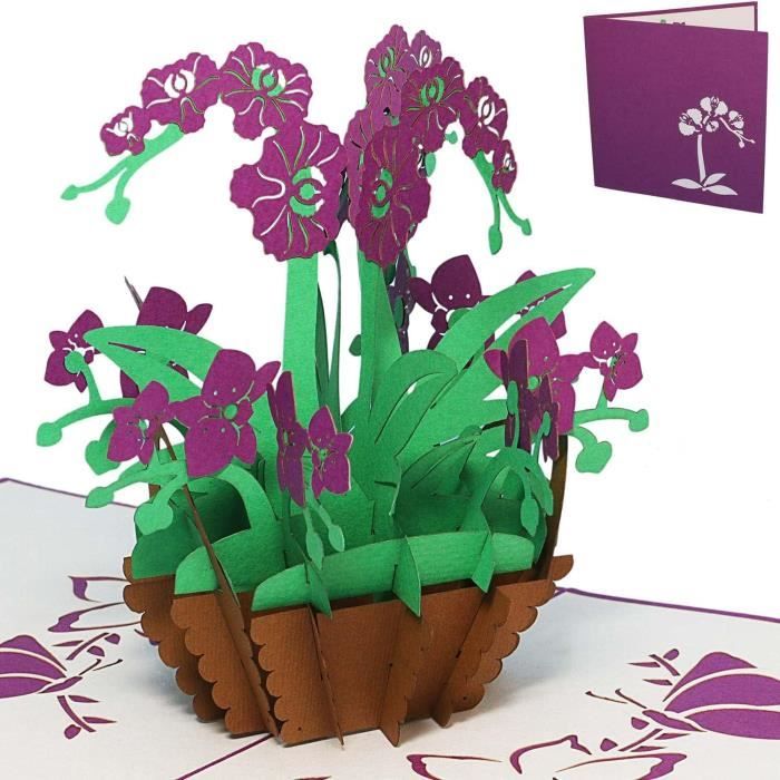 Tapis De Châssis (Pantoufle) Team Associated ASC9611 V2 - Pour DR10, B6.3, B74, SC6.2...