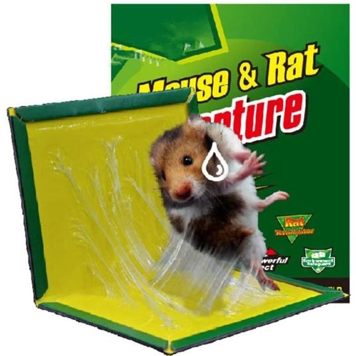 Piège à Souris Pièges à Rats Piège Souris Colle,Panneaux Collants à pièges à Rats,pièges à Souris Qui pour cafards 10PCS