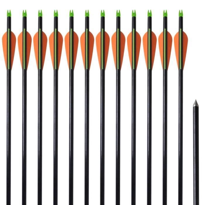 Flèches Tir à L'arc 28 Pouces (72cm) - Fibre De Verre - Lot De 10 - Pour Arcs Recourbés Et Compounds