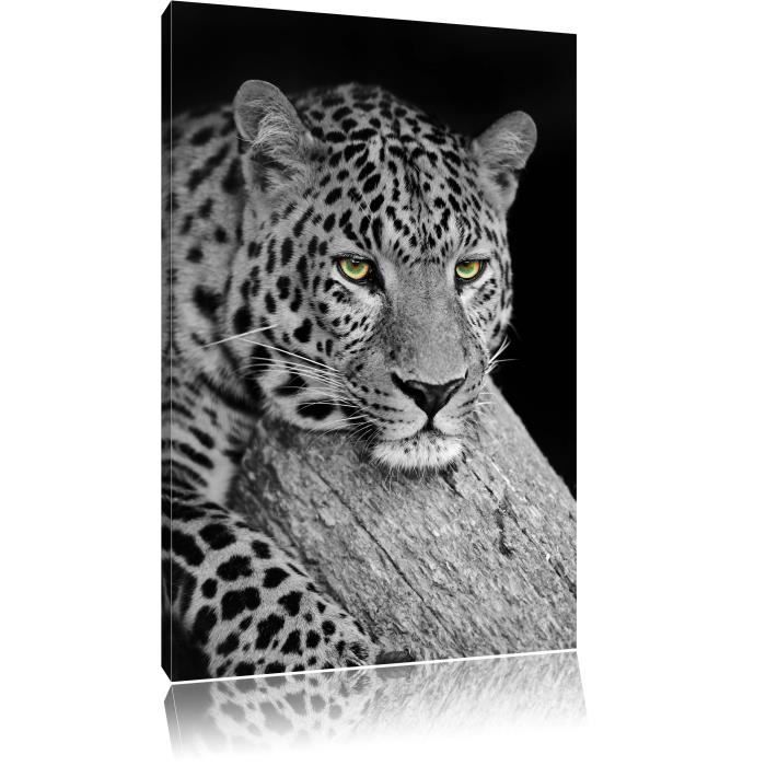 Toile Imprime Repos Leopard Noir Blanc Completement Encadrees Avec Civiere Wall Art Print Sur Le Cadreformat 100x70cm Cdiscount Maison Toile Imprime Repos Leopard Noir Blanc Completement Encadrees Avec Civiere Wall Art Print Sur Le Cadreformat 100x70cm Cdiscount Maison