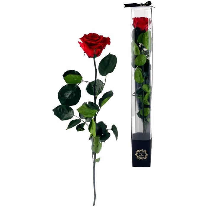 Rose éternelle rouge avec tige 50 cm et carte de vux dans une botecadeau  raffiné. Fleurs éternelles cadeau femme ou déc [255] - Cdiscount Maison