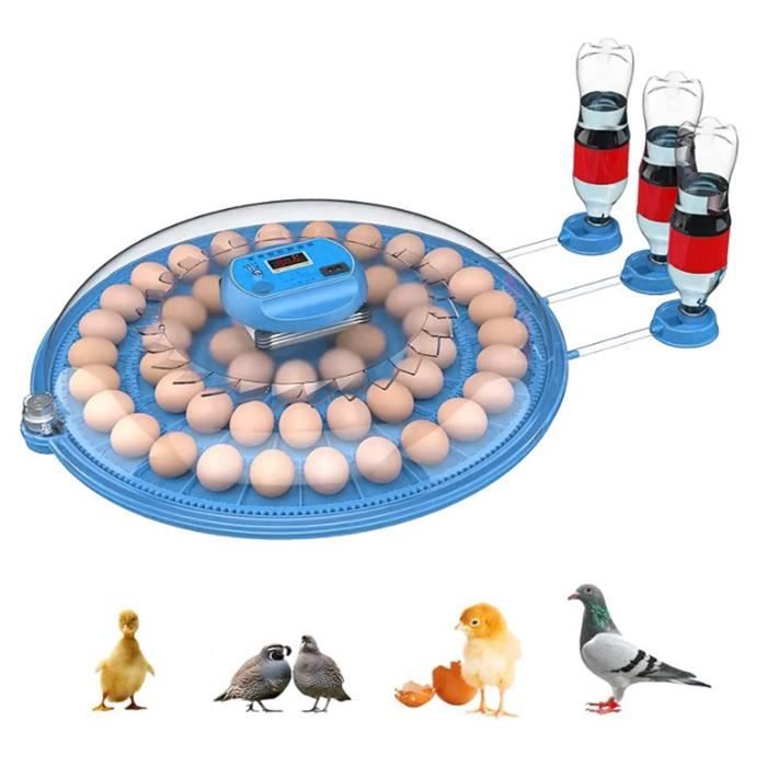Incubateur D'œufs Automatique WDDEYYDS - Retournement Auto, Contrôle Température/humidité, Pour Poule, Caille, Canard