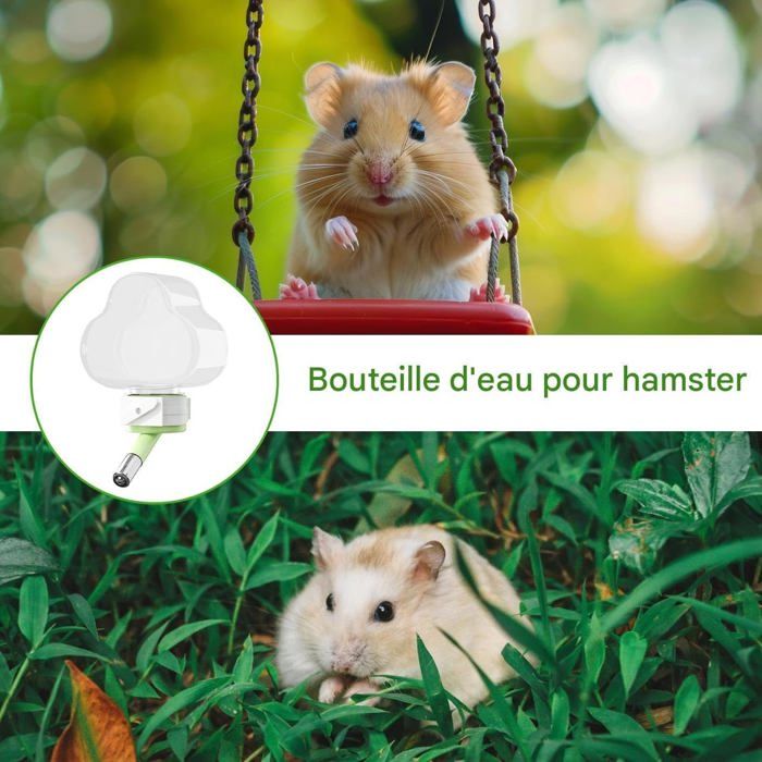 Cage De Transport Transparente Pour Hamster/furet/hérisson - Avec Bouteille D'eau