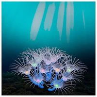 Corail artificiel lumineux en silicone pour décoration d'aquarium (bleu)