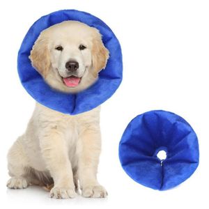 collier lune chien maxi zoo collier lune chien maxi zoo