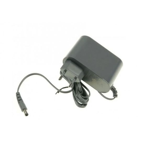 Chargeur Adaptateur 29V Pour Aspirateur Rowenta Xforce Flex 8.60 - Alimentation 230V AC/DC, Câble 120cm | TopChargeur