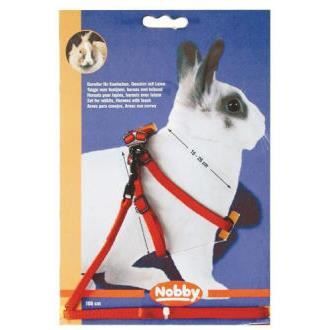 Harnais + Laisse Pour Lapin Rouge