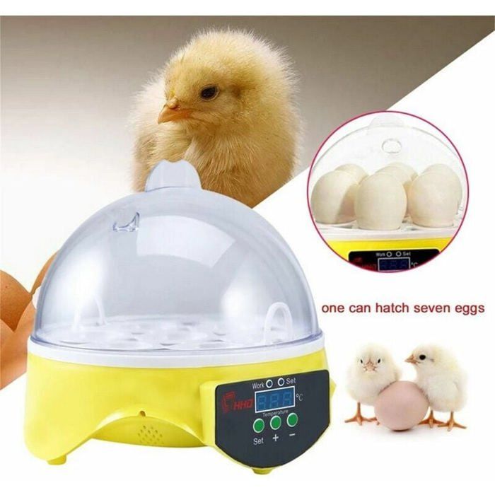 Meilleurs prix pour Couveuse Automatique - PZCC - 7 Oeufs - Jaune - Intérieur - 20W