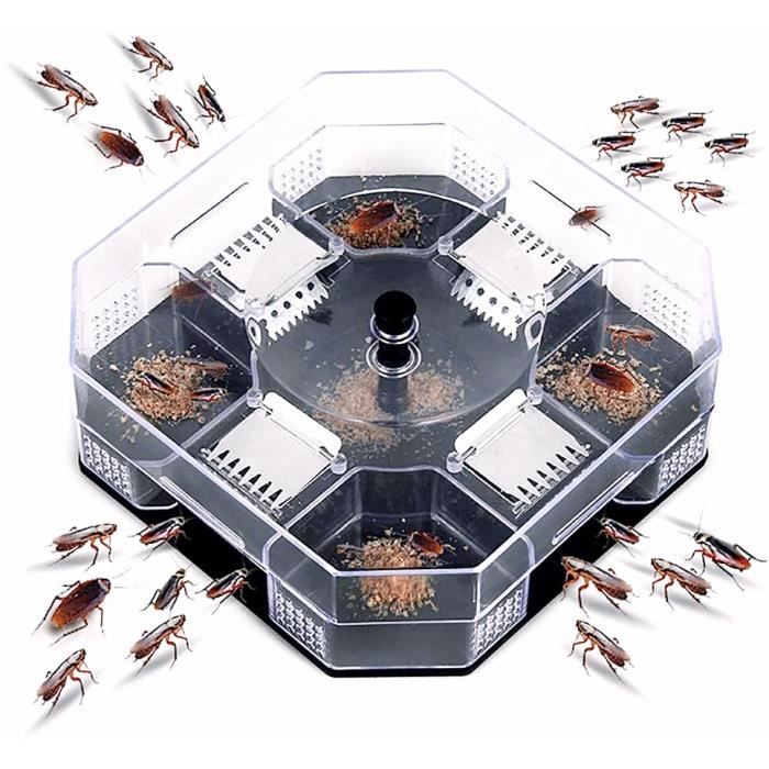 Piège à Cafards Intérieur - 8 Pièges Gluants | Efficace Jusqu'à 60 Jours | Facile à Placer, Sans Insecticide - 8