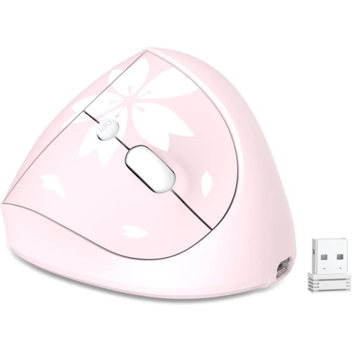 Souris Optique Sans Fil Ergonomique Rechargeable - 1600 DPI, 6 Boutons, Connexion USB 2.4 - Neuf